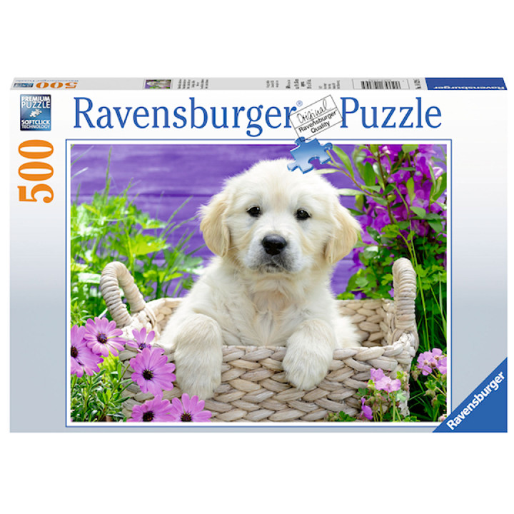 Dulce Golden Retriever ( Ref:  14829 )